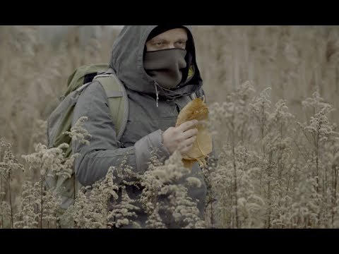 LASY - Wandering feat. MaJLo ( OFFICIAL VIDEO )