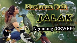 Download lagu Masteran burung jalak ngomong cewek!!Putarkan suara ini dgn rutin biar bisa ngomong.. mp3