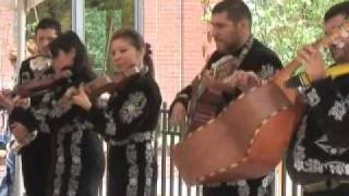 Mariachi Vasquez 5