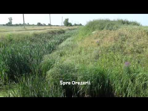 Partos Timis Romania