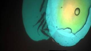 Sound of Ceres, Live at Mercury Lounge, New York City, 4-3-16