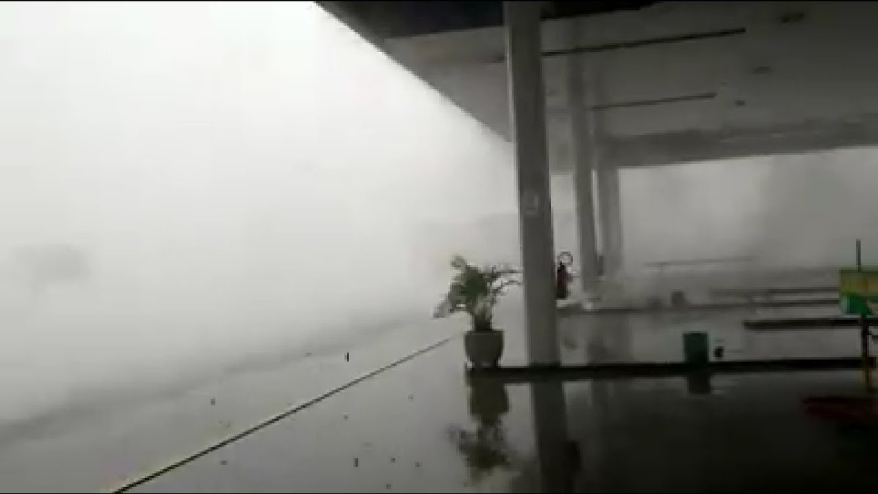 youtube video id=PGoo2z-WArk