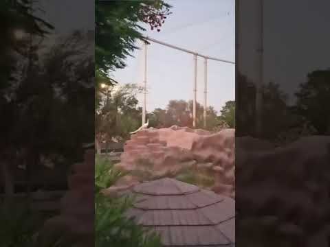 Exploring Al Khor Park, Qatar 🇶🇦 Part 3 😎 Final Part – A Blessed Day Surrounded by Nature🎈🎉🎉