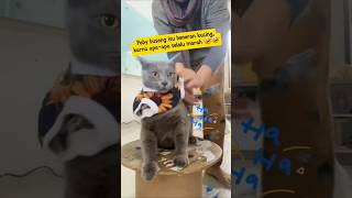 Download lagu Poby busong itu beneran kucing, karna apa-apa selalu marah 🤣🤣 #poby #ngakak #live #humor #subscribe mp3 Download lagu Poby busong itu beneran kucing, karna apa-apa selalu marah 🤣🤣 #poby #ngakak #live #humor #subscribe mp3