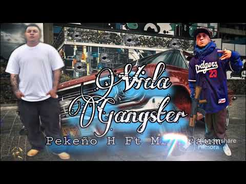 😈"VIDA GANGSTER"😈PEKEÑO H❌️MR PRAUM💥(Mad House Music)