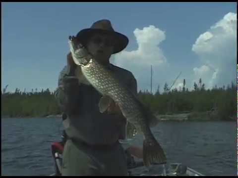 Budd's Gunisao Lodge Pike Fishing