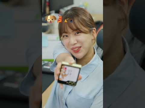비디오 24
