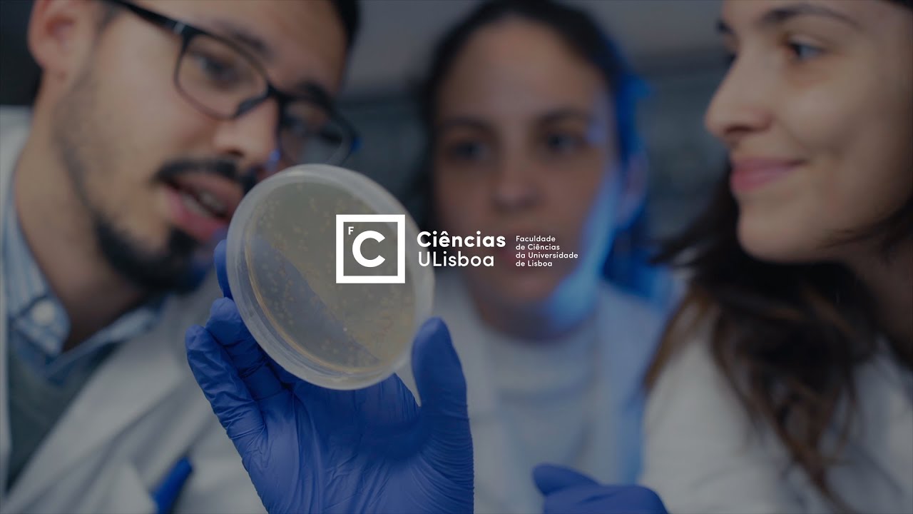 Faculdade de Ciências da Universidade de Lisboa