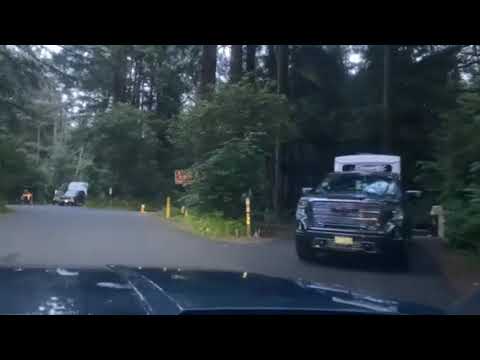 RV park atmosphere, sites close together with unclear boundaries