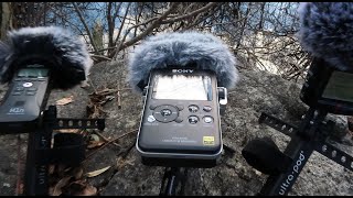 Video thumbnail for Zoom H1N vs Zoom H2N vs Sony PCM-D100 Audio recorders by Cosmos Channel