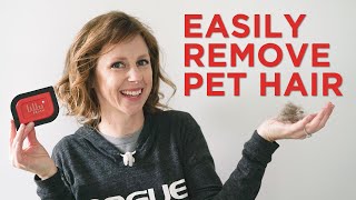 How To Remove Dog Hair From Your Car & Carpet: Lilly Brush Review