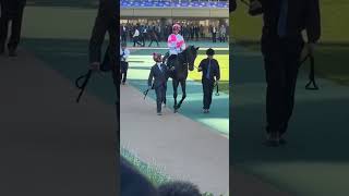 #かわいくてごめん  推しのミシェル騎手?