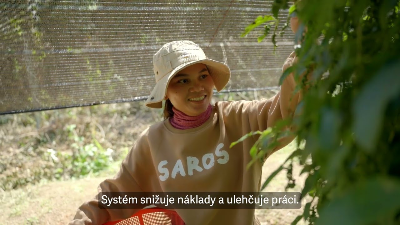 Co pomohlo zachránit tradiční kambodžský pepř?