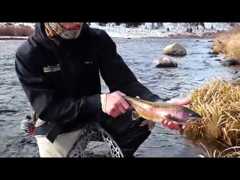 Madison River Fly Fishing - The Fifth Season