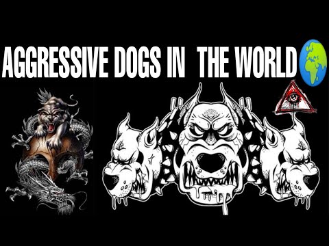 TOP 15 AGGRESSIVE DOGS IN WORLD || THE CROWN KAAL ♔ #TCK