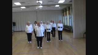 Every Little Thing  Line Dance