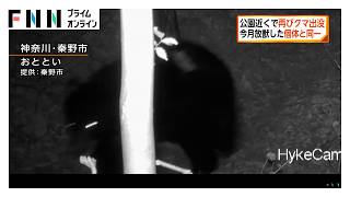 弘法山公園で再びクマ出没　センサーカメラーで撮影　20日に放獣した同一個体と判明　神奈川・秦野市（2026年10月25日）