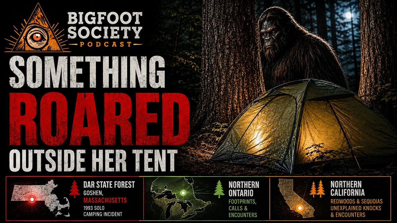 Something Roared Outside Her Tent in DAR State Forest