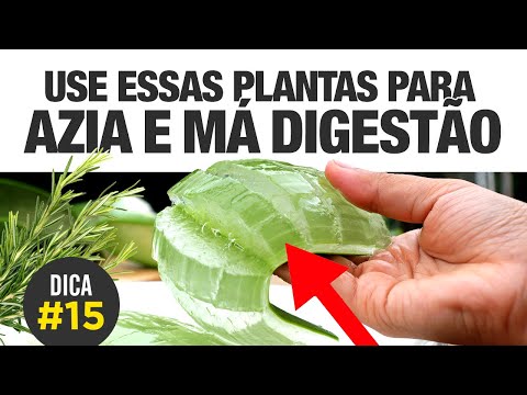 Remédio caseiro para AZIA, GASTRITE E MÁ DIGESTÃO 🌿🌱🍵 [DICA #15]
