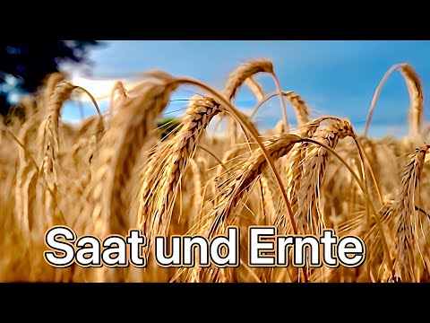 Saat und Ernte: Das göttliche Prinzip!