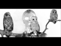 Monarchy - Living Without You (MK Letting Go ...