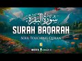 Very Calming Recitation Of Surah Al Baqarah Full سورة البقره Zikrullah TV