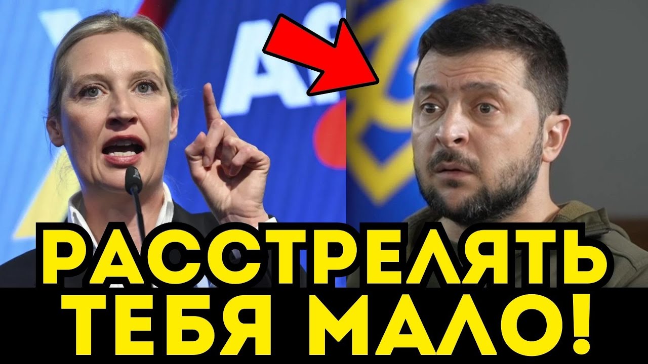 WEIDEL, ROZSTRZELAĆ ZDECYDOWANIE ZELEŃSKIEGO ! JEDNO ZDANIE WYSTARCZYŁO !