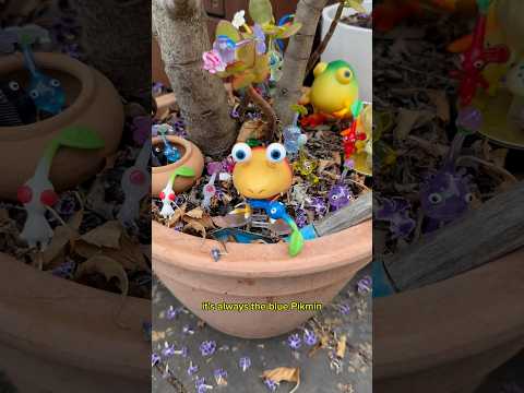 PIKMIN GARDEN PART 3! Today we add some Pikmin Enemy Blind Boxes! #pikmin #nintendo #bulborb