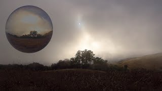 In a crystal ball: The Sun in blowing coastal fog at Russian Ridge