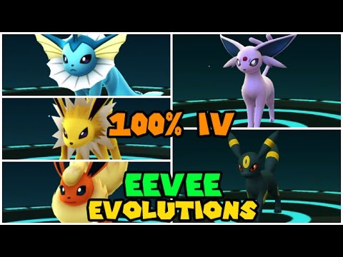 All Perfect 100% IV EEVEE Evolutions (Pokemon Go GEN 2 Evolution)