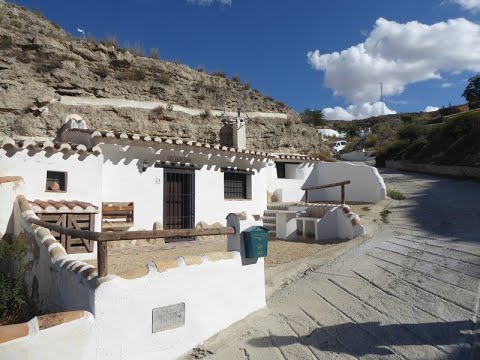 video image