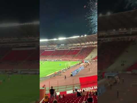 #football  #redstar #shorts #navijaci #sports