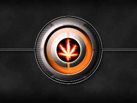 Marijuana VS  Crystal Meth   Funny but true video