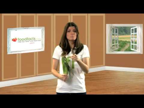 Hydrolyzed Corn Protein Powder