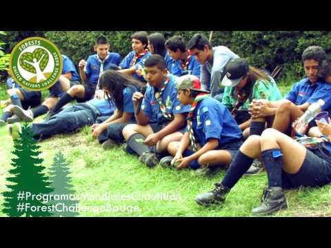 FOREST CHALLENGE BADGE | Provincia Cuautitlán