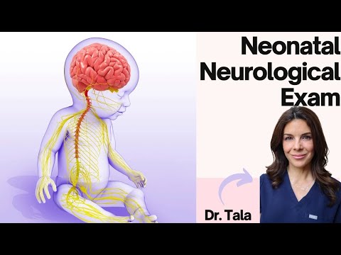 How to perform the NEURO exam on a baby// Head-to-Toe CNS evaluation!