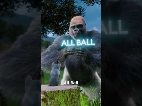 Gorilla Cries Over Kitten 😢