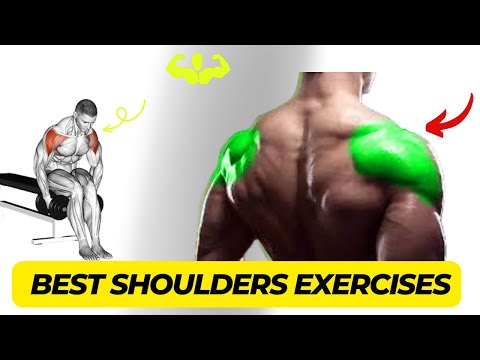 6 Best Shoulder Workout at GYM