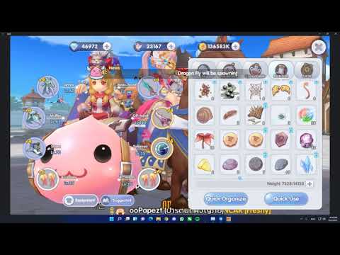 ROX -  Assassin Cross Dual Dagger (Journey to Upgrade T5)