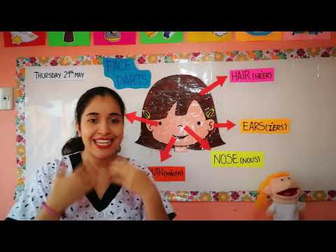 Clase Virtual : Partes de la cara en inglés