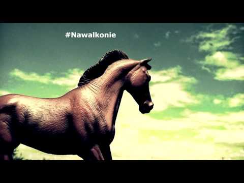 Gimpson - #Nawalkonie
