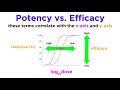 Pharmacodynamics Mechanisms Of Drug Action