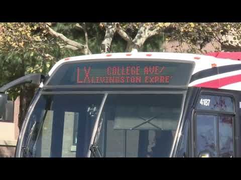 Rutgers Assault Arrest