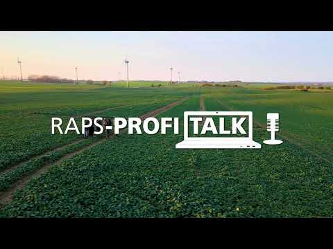RAPOOL-Rapsprofi-Talk 2023