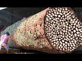 Genius Trick Will Save You Thousands Of Dollars When Cutting Large Wood At Sawmill