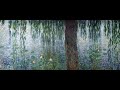In the woods - Weeping willow, subtitulado al español