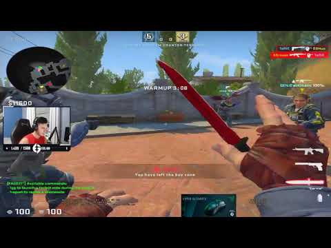 Tarik's 1000IQ Smoke - CSGO Stream Highlight