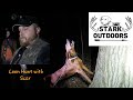 COON HUNT WITH REDBONE COONHOUND
