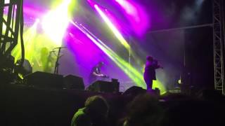 Goldmine Junkie by Big Grams @ Okeechobee Fest on 3/6/16