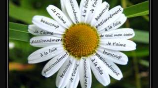 tellement beau de chimene badi